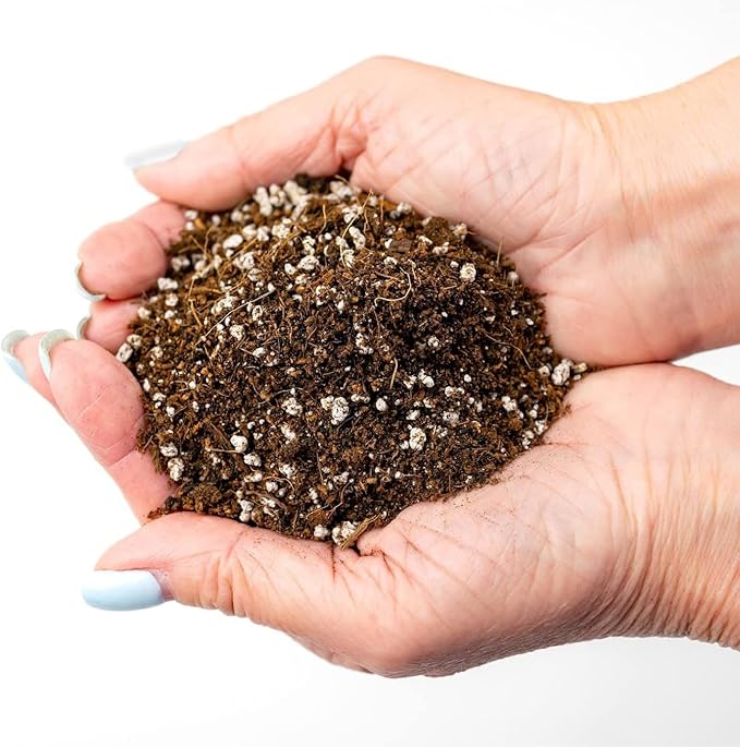Premium Organic Potting Soil for Garlic - (2 Quart Bag)