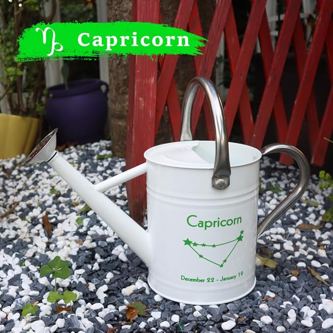 Metal Watering Can for Outdoor and Indoor Plants, Watering Can Decor, 1 Gallon (Capricorn)