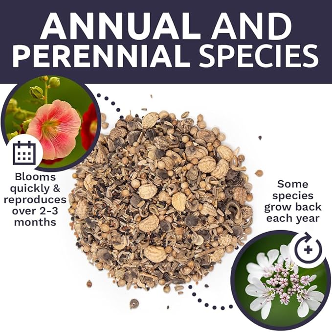 Wildflower Seeds Edible Flowers Mix - Bulk 1/4 Pound Bag Over 30,000 Open Pollinated Annual and Perennial Seeds