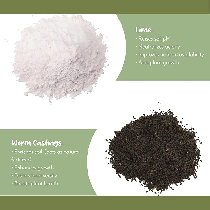 Elephant Ear Potting Soil Mix (8 Quarts), Colocasia and Alocasia Potted Plant Blend
