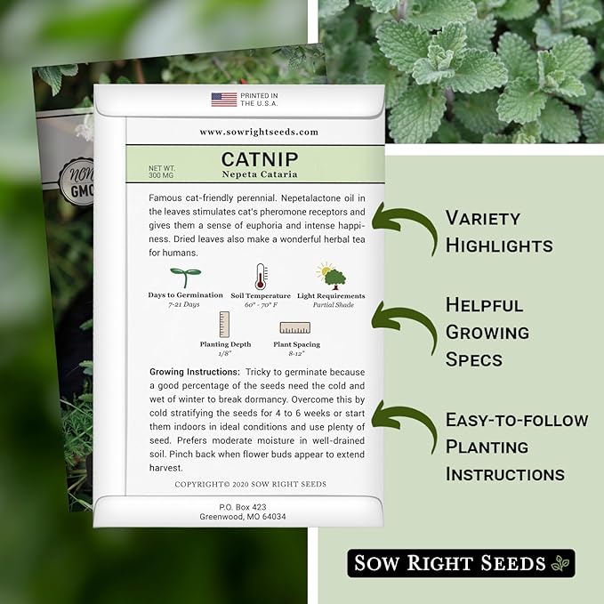 Sow Right Seeds - Catnip Seed for Planting - Popular Herb for Happy Cats - Non-GMO Heirloom Packet with Instructions to Plant and Grow - A Gift for The Cat Lover - Perennial Herb Indoors (2)