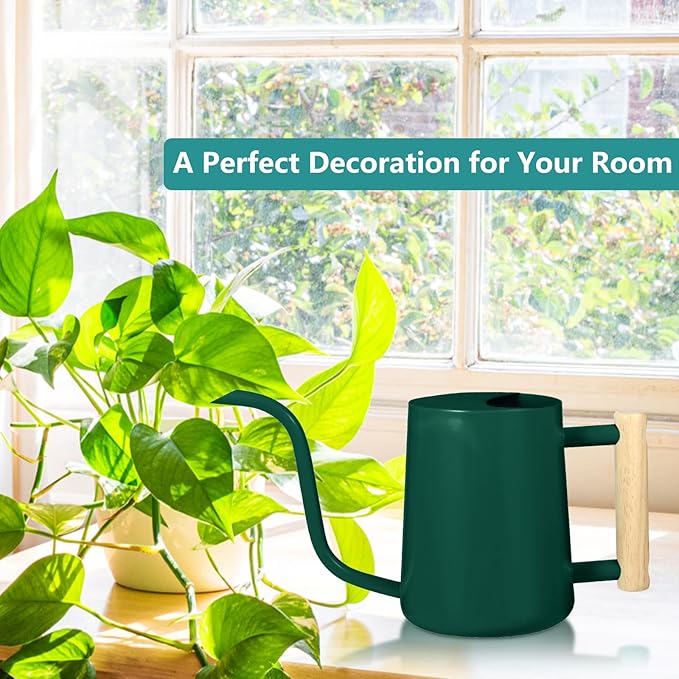 Watering Can Indoor Plants, 35oz Small Watering Can Indoor Stainless Steel Metal Watering Can Modern Decorative Watering Pot with Long Spout for Indoor House Plant Bonsai Garden Flowers (Alpinegreen)