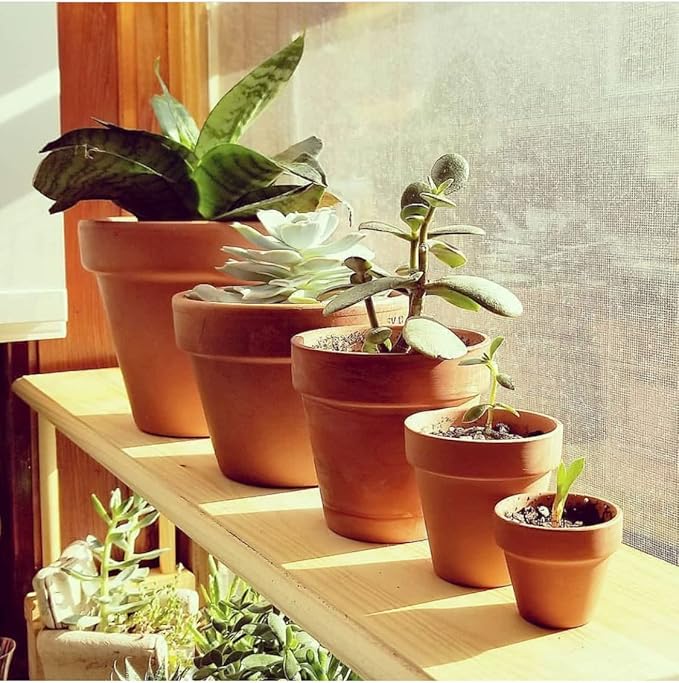 OLEEP Clay Pot - 21 Pack Large Terra Cotta Plant Pot with Drainage Hole, Clay Planters Pot, Terracotta Pot for Indoor Outdoor Plant (3.5 inch)