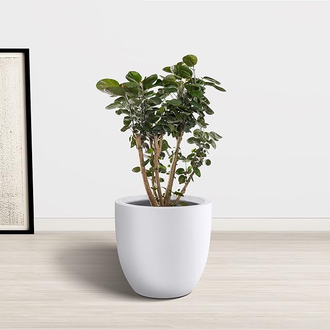 Kante 14 Inch Dia Round Concrete Planter, Indoor Outdoor Large Plant Pot with Drainage Hole and Rubber Plug for Home Patio Garden, Pure White