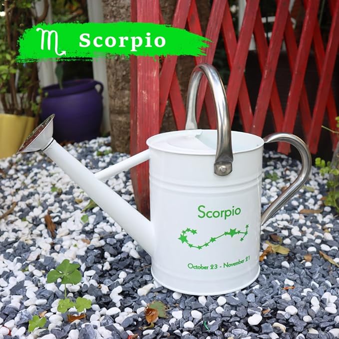 Metal Watering Can for Outdoor and Indoor Plants, Watering Can Decor, 1 Gallon (Scorpio)