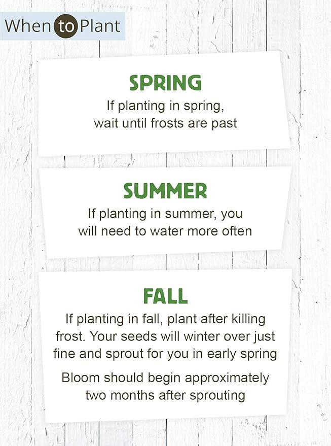 American Meadows Wildflower Seed Packets ''Love'' Party Favors (Pack of 20) - Wildflower Seed Mix, Party Favors for Weddings, Valentine's Day, Anniversaries, Thank You