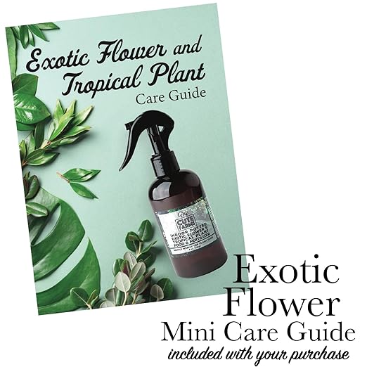 Cute Farms Indoor Potted Exotic Flower & Tropical Plant Fertilizer | Gentle Weekly Use Formula Plant Food (Two - 8 oz. Spray Bottles)