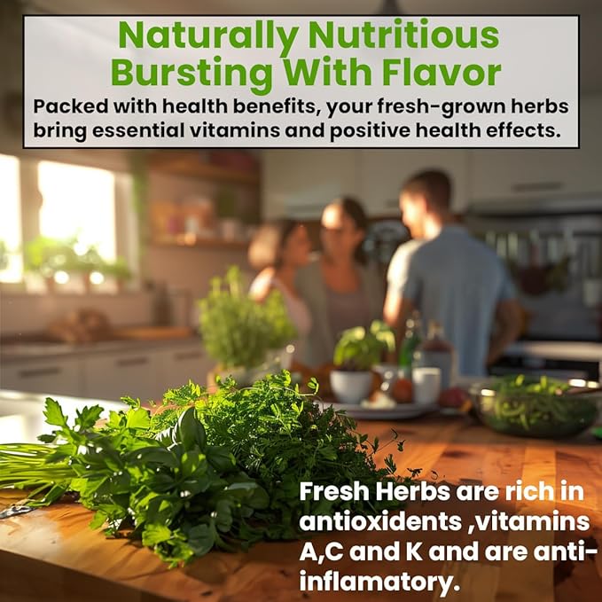 5 Herb Seeds Variety Kit, Oregano, Cilantro, Parsley, Basil, Chives