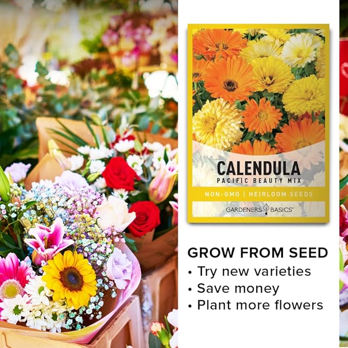 Gardeners Basics, Calendula Seeds for Planting (Pacific Beauty Mix) - Annual Flower Seeds Great for Cut Flower Gardens, Herbal Tea and for Medicinal Purposes, Open Pollinated Flower Seed