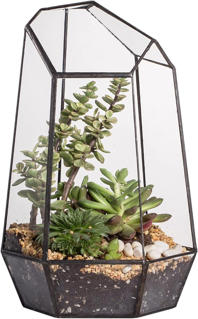 NCYP Geometric Glass Terrarium Planter for Succulent, Small Cacti - 6.5" x 5.7" x 9.8" Black Irregular Opened Container Pot, Indoor Home Garden Office Tabletop Decor (No Plants, No Door)