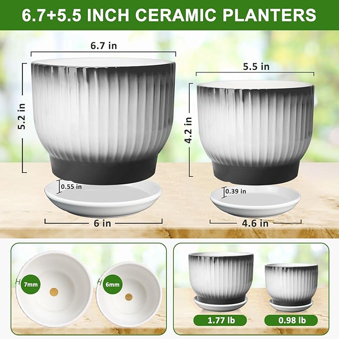 6.7 + 5.5 Inch Plant Pot, Ceramic Planter with Drainage and Saucer, Ceramic Pots for Plants, Indoor Plant pots,Ceramic Flower pots(Black + White, Plants NOT Included)