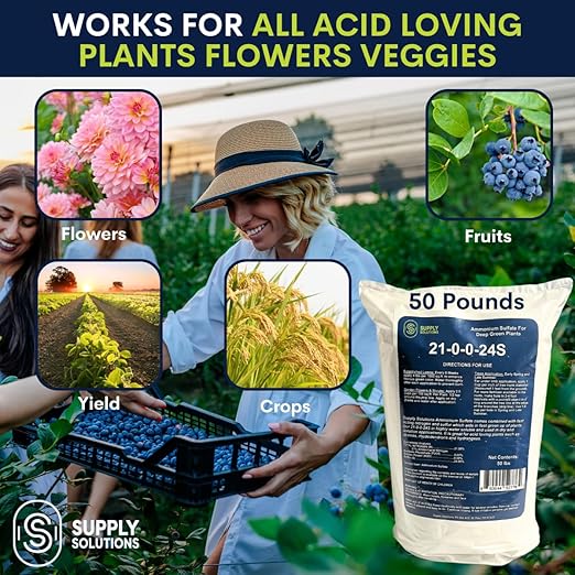 21-0-0-24S Ammonium Sulfate for Deep Green Plants - Soil Acidifier for Blueberry Blooms, Azalea and Magnolia Tree Fertilizer - Sulfur for Plants Nitrogen Fertilizer (50 Pounds)