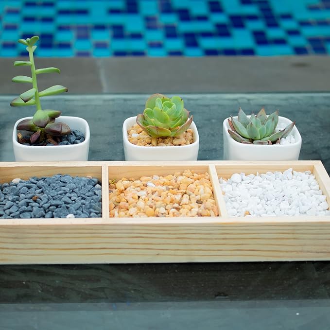 Anothera 6mm-8mm Succulent and Cactus Bonsai DIY Rocks, White Onyx, Gravel for Terrarium, Fairy Gardening, Top Dressing (3LB)