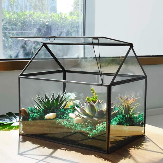 Large Glass Plant Terrarium – House Succulent Glass Terrarium Kit with Lip Glass Greenhouse Terrarium for Plant (Black 1)