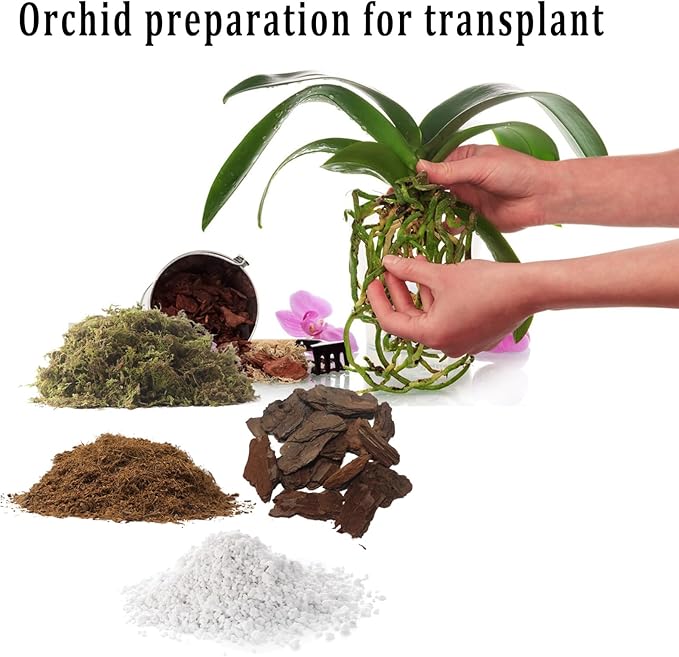 2QT Orchid Potting Mix with Moss Pine Bark Mulch Perlite & Coco Peat Natural Ingredients, Orchid Repotting Soil Medium Great for Indoor Plant Root Climbing & Expanding