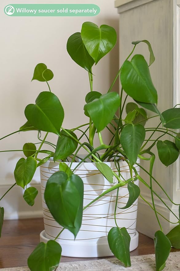 Willowy 12 Inch Ceramic Pot - Matte White with Metallic Gold Stripes - Drainage Plug Included