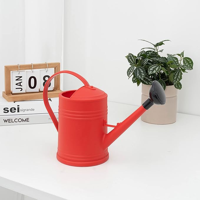 Watering Can for Indoor Plants, Flower Watering Can, Plastic Water Can for Plants, Indoor Watering Can with Sprinkler Head 68 oz, 1/2 Gallons