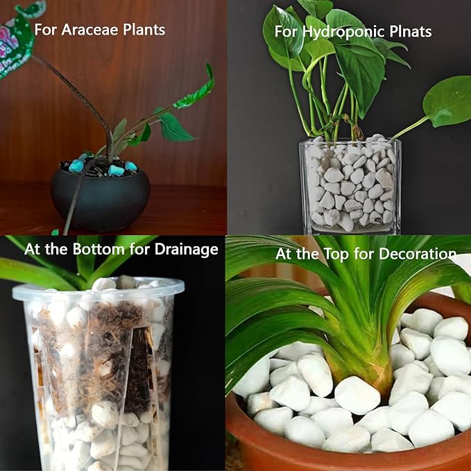 Natural 1-2CM Hard Chunky Perlite 5QT for Plants Horticultural Coarse Organic Pearlite Bulk Potting Mix Garden Soil Amendment for Enhanced Drainage and Ventilation for Orchid, Dendrobium, Araceae
