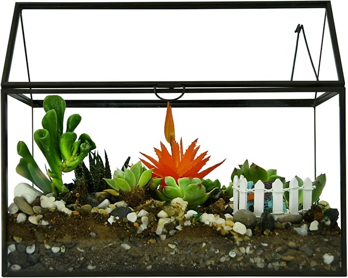 Large Glass Plant Terrarium – House Succulent Glass Terrarium Kit with Lip Glass Greenhouse Terrarium for Plant (Black 1)