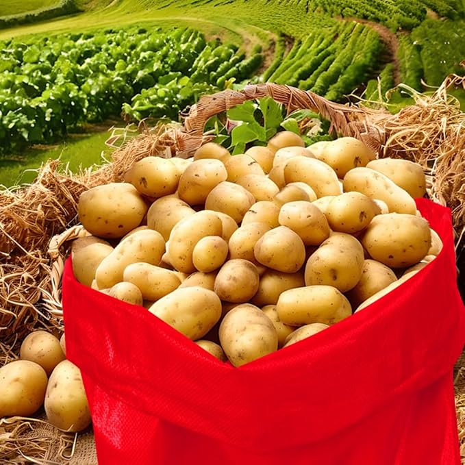 10Pcs Colorful Potato Sack Race Bags, Reusable Vegetable Storage Bags for Potato Tomato Onion Bean Storage
