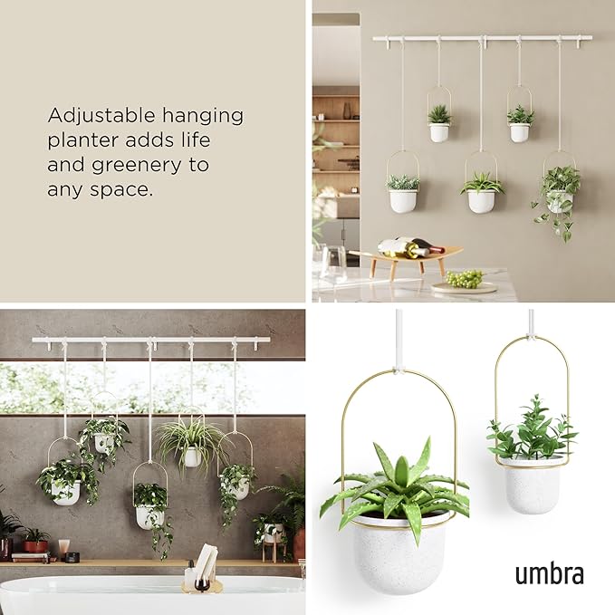 Umbra Triflora Hanging Planter for Window, Indoor Herb Garden, Set of 5, White/Brass