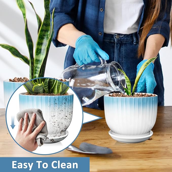 6.7 + 5.5 Inch Plant Pot, Ceramic Planter with Drainage and Saucer, Ceramic Pots for Plants, Indoor Plant pots,Ceramic Flower pots(Blue + White, Plants NOT Included)