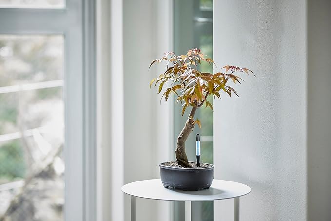 Aquameter - Medium - Black - Bundle of 5 - Leave-in Soil Moisture Meter for Potted Plants - Plant Water Sensor - Refillable