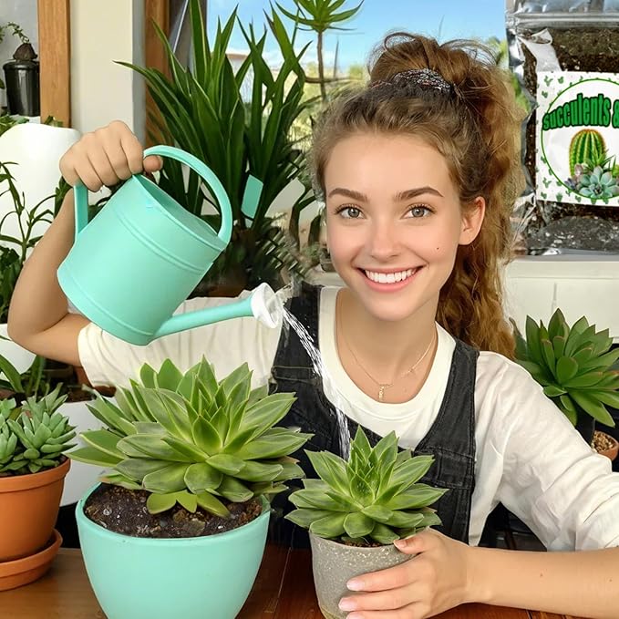 Cactus and Succulent Soil Potting Mix 1qt, Well Draining Chunky Soil Mix for Indoor Plants, Gritty Soil for Healthy Indoor Plants - Spike & Bloom