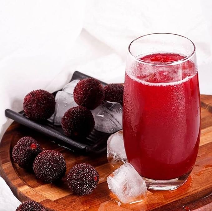 CHUXAY GARDEN 10 Seeds Bayberry Plant,Wax Myrtle Dense Deciduous Shrub Rare Striking Landscaping Plant