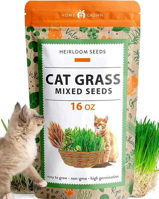 1 Pound Cat Grass Seeds for Cat & Kittens - 100% π‘π’π‘-ππ π’ π¨π¦π, Heirloom | Grow Fresh Kitty Grass for Chewing | Pet Grass for Cats Indoor Garden | Wheatgrass Seeds for Pets | Healthy Cat Greens