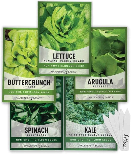 Lettuce and Greens Heirloom Vegetable Seed Non-GMO Seeds for Planting Indoors and Outdoor 5 Packs - Lettuce Buttercrunch, Romaine, Arugula, Kale and Spinach By Gardeners Basics