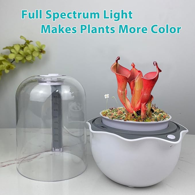Venus Fly Trap Pot,Smart Planter with Timer and Fan,Small Terrarium Kit with Light and Drainage Hole for Carnivorous Plant,Succulent,Sundew Moss,Cactus,Pitcher(No Plant)