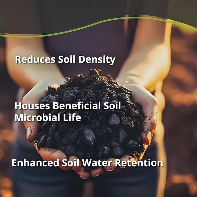 Worm Bliss (1 Qt) + Char Bliss (1 Qt) - OMRI-Listed Worm Castings & Organic Biochar for Plants - All Natural Worm Fertilizer for Plants - Biochar Soil Conditioner - Organic Worm Castings for Plants