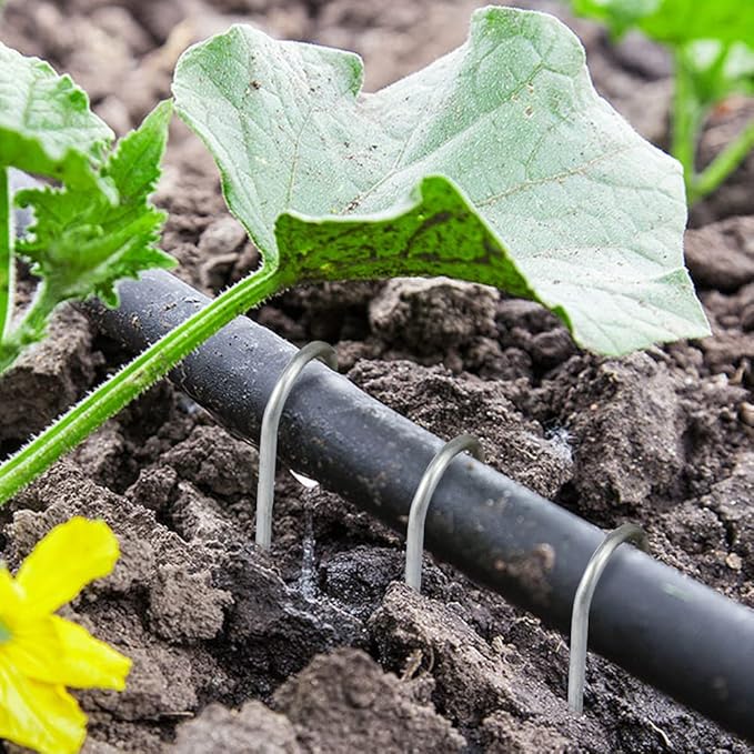 Landscape Staples 6 Inch Galvanized Garden Stakes 150 Pack,Garden Staples Heavy-Duty Sod Pins Anti-Rust Fence Stakes Securing Pegs for Barrier Fabric Irrigation Tubing Hose Weed