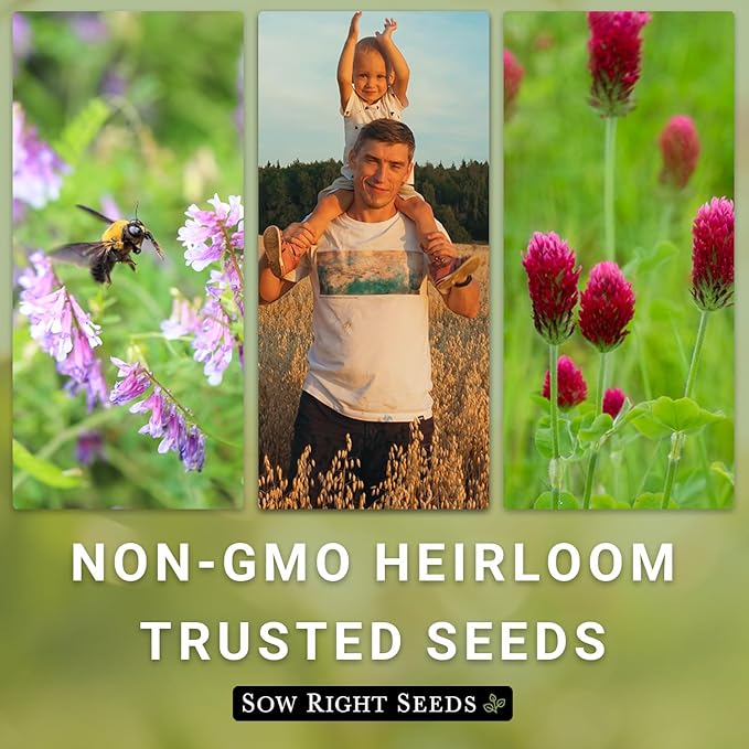 Sow Right Seeds - White Dutch Clover Seed for Planting - Cover Crops to Plant in Your Home Garden - Nitrogen Fixer - Suppress Weeds - Attracts Pollinators - Non-GMO Heirloom Seeds - Gardening Gift (1)