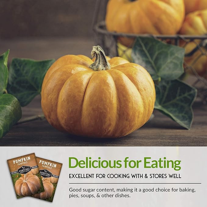 Survival Garden Seeds - Fairy Tale Pumpkin Seed for Planting - 5 Packs with Instructions to Plant and Grow Pumpkins in Your Home Vegetable Garden - Non-GMO Heirloom Variety