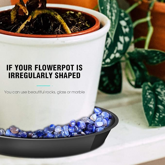 6 Pack Plant Saucer 4 6 8 10 12 14 16 18 20 22 Inch Plastic Plant Tray, Sturdy and Durable Flower Pot Container Accessories Plant Pot Saucers for Indoor and Outdoor (8 Inch, Black)