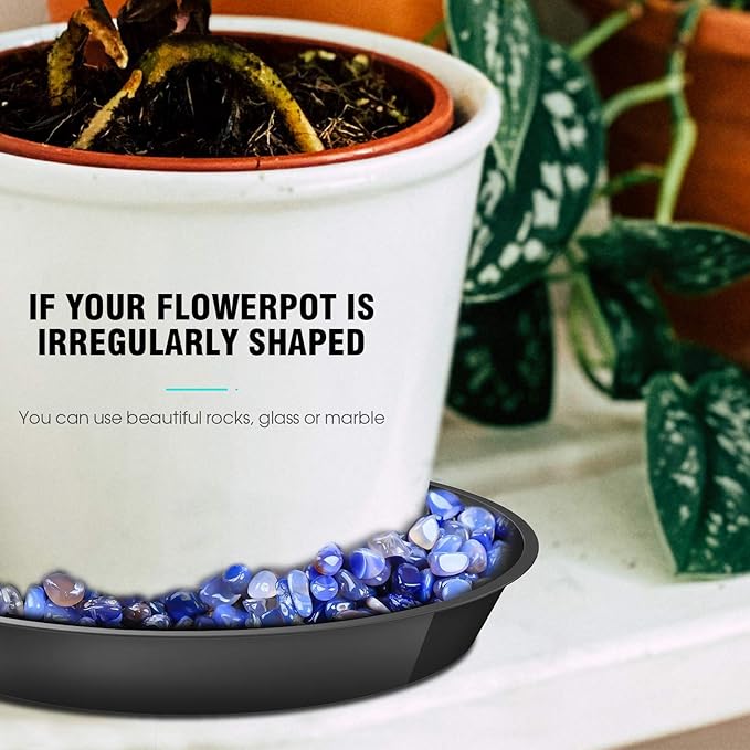 6 Pack Plant Saucer 4 6 8 10 12 14 16 18 20 22 Inch Plastic Plant Tray, Sturdy and Durable Flower Pot Container Accessories Plant Pot Saucers for Indoor and Outdoor (10 Inch, Black)