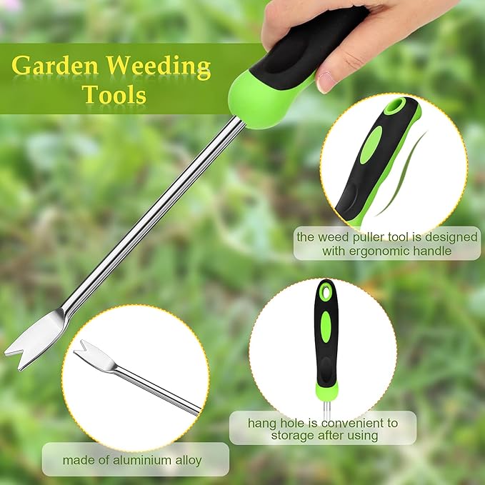Hand Weeder Tool Garden Weeding Tool Gardening Weeder Tool with Ergonomic Handle, Stainless Steel Garden Lawn Farmland Transplant Gardening Plant Tool(2 Pronged Fork, 2 Pieces)