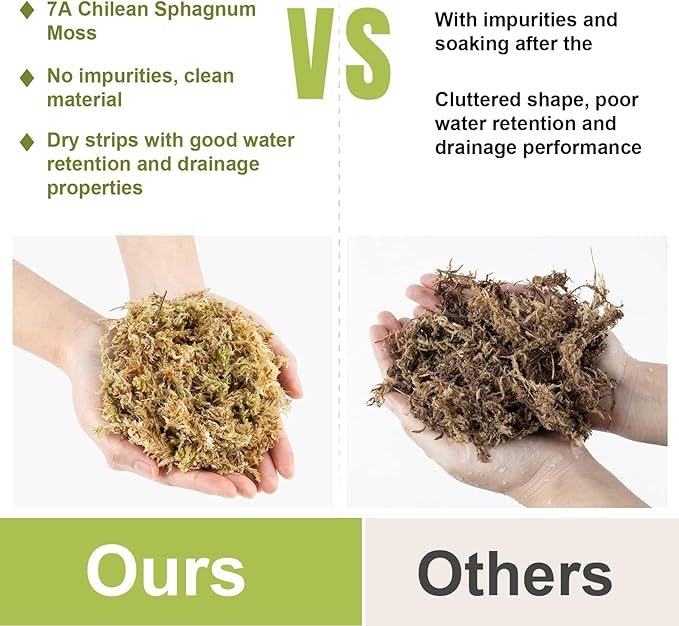 Sukh 10oz Sphagnum Moss for Plants - Sphagnum Peat Moss Natural Long Fibered Dried Moss Potting for Orchids Succulent Carnivorous Potted Plant Reptiles Medium Sarracenia DIY Moss Terrarium Decorations