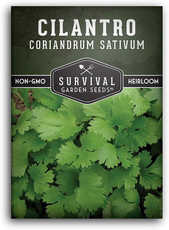 Survival Garden Seeds - Cilantro Seed for Planting - Packet with Instructions to Plant and Grow Coriandrum Sativum in Your Home Vegetable Garden - Non-GMO Heirloom Variety - 1 Pack - Cilantro Plant