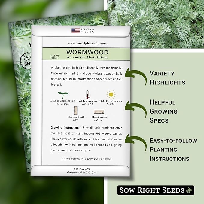 Sow Right Seeds - Wormwood Seeds for Planting - Non-GMO Heirloom Packet with Instructions to Plant & Grow an Outdoor or Indoor Herb Garden - Sagewort Repels Mosquitoes - Medicinal Worm Wood Herb (4)