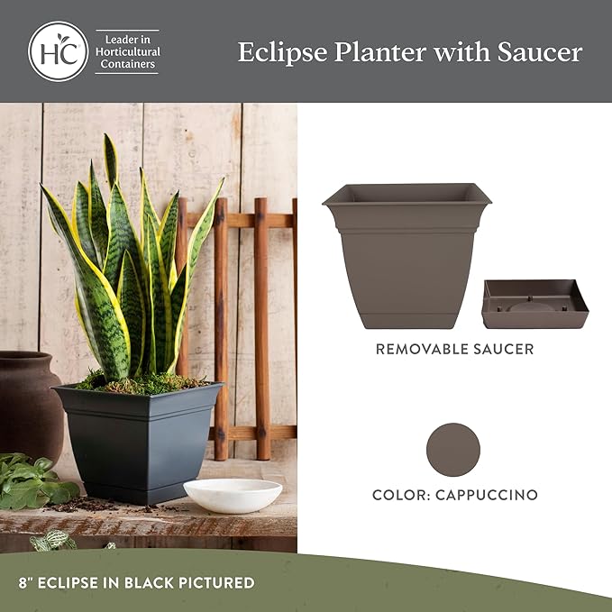 The HC Companies 6 Inch Eclipse Square Planter with Saucer – Indoor Outdoor Plant Pot for Flowers Vegetables Herbs, Cappuccino (Pack of 4)