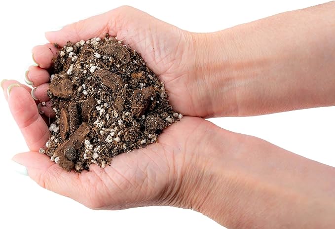 Fiddle Leaf Fig Soil Mix - 10 Quart - Premium Blend of Peat Moss, New Zealand Bark, Coco Chips, and Perlite for All Purpose Planting - 2 Bags of 5 Quart