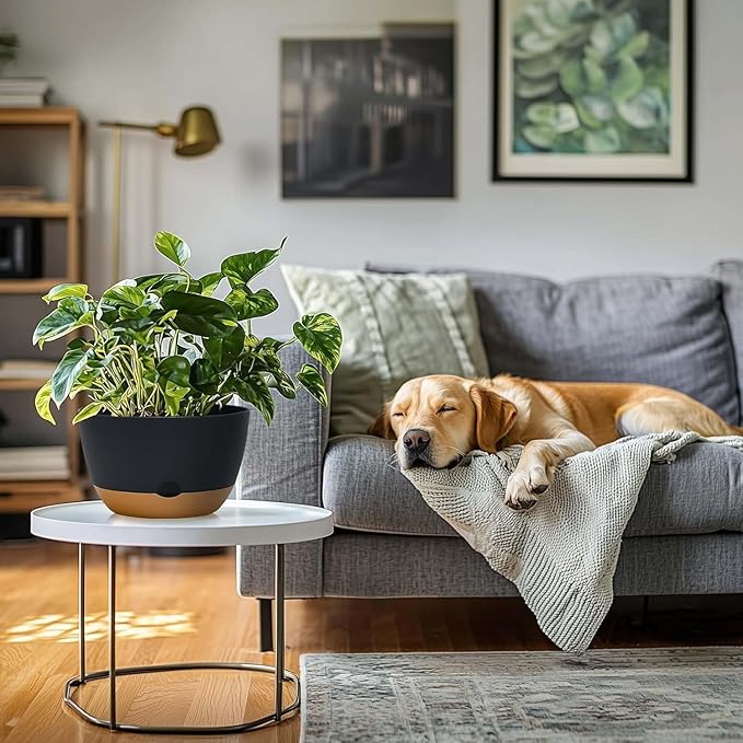 10 Inch Pots for Indoor Plants, Large Self Watering Planters with Drainage and Saucers, Plastic Outdoor Flower Pot, Set of 2, Grey