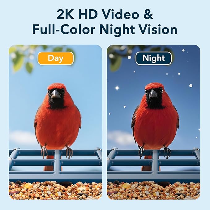 PeckCam® Bird Feeder with Camera Solar Powered, AI Identify & Auto Capture, 2K HD Live Video Smart Bird Feeder Camera Instant Notifications in Backyard, Gift for Bird Lovers
