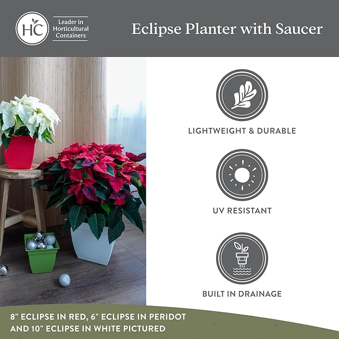 The HC Companies 6 Inch Eclipse Square Planter with Saucer – Indoor Outdoor Plant Pot for Flowers Vegetables Herbs, Cappuccino (Pack of 4)