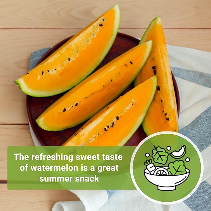 Sow Right Seeds - Tendersweet Watermelon Seeds for Planting - Non-GMO Heirloom Seeds to Plant a Home Vegetable Garden - Unique Orange Flesh Melon - Sweet Summer Treat to Grow Outdoors (4)