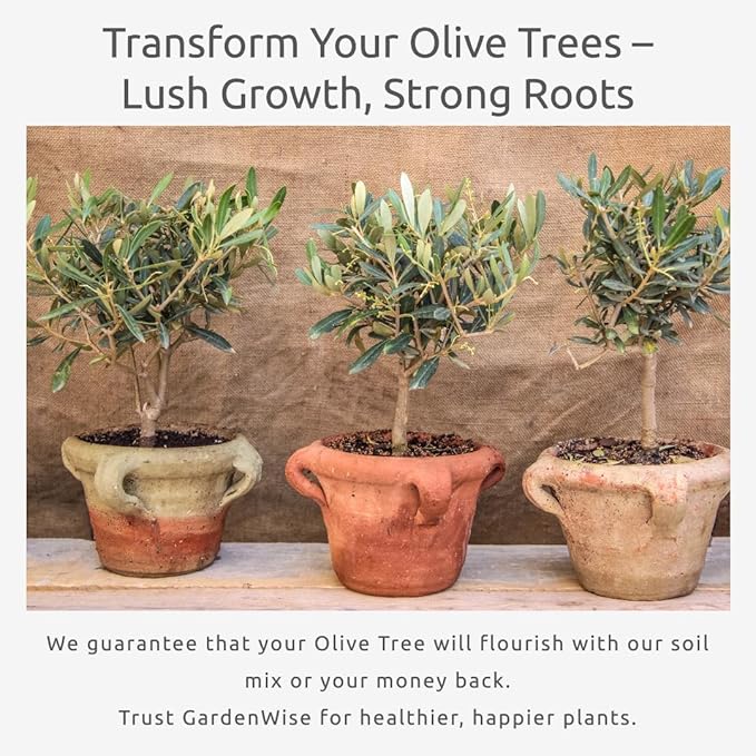 Organic Olive Tree Potting Mix – Fast-Draining, Nutrient-Rich Soil for Indoor & Outdoor Olive Trees – Mediterranean Plant Care – Long-Lasting Formula (2 QUARTS)