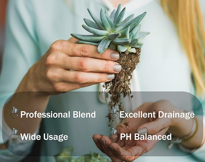Succulent Soil Potting Mix 1.1 LBS, Optimized PH Fast Draining with Added Nutrients, Perfect for Small Succulent Pots